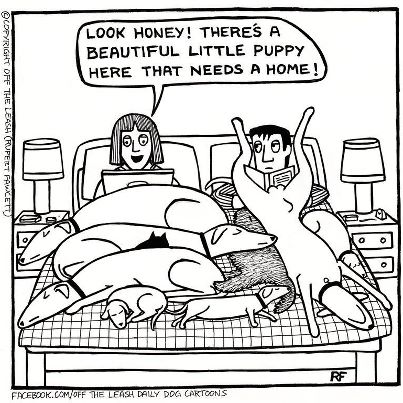 385308_425292807546929_1977424414_n