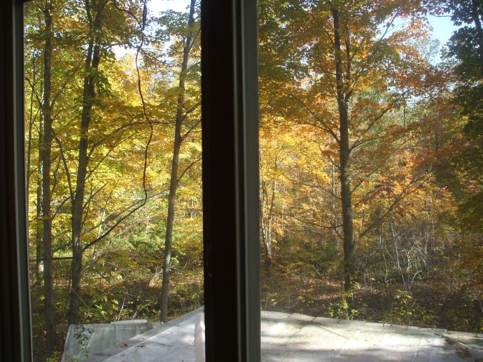 Photographing from inside the loft to outside, the photo does not capture how bright and orange it is out there.  But it does show that there is change.
