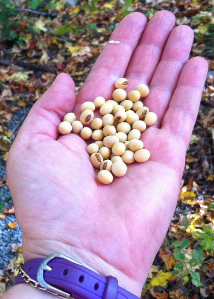 Can you believe the waste?