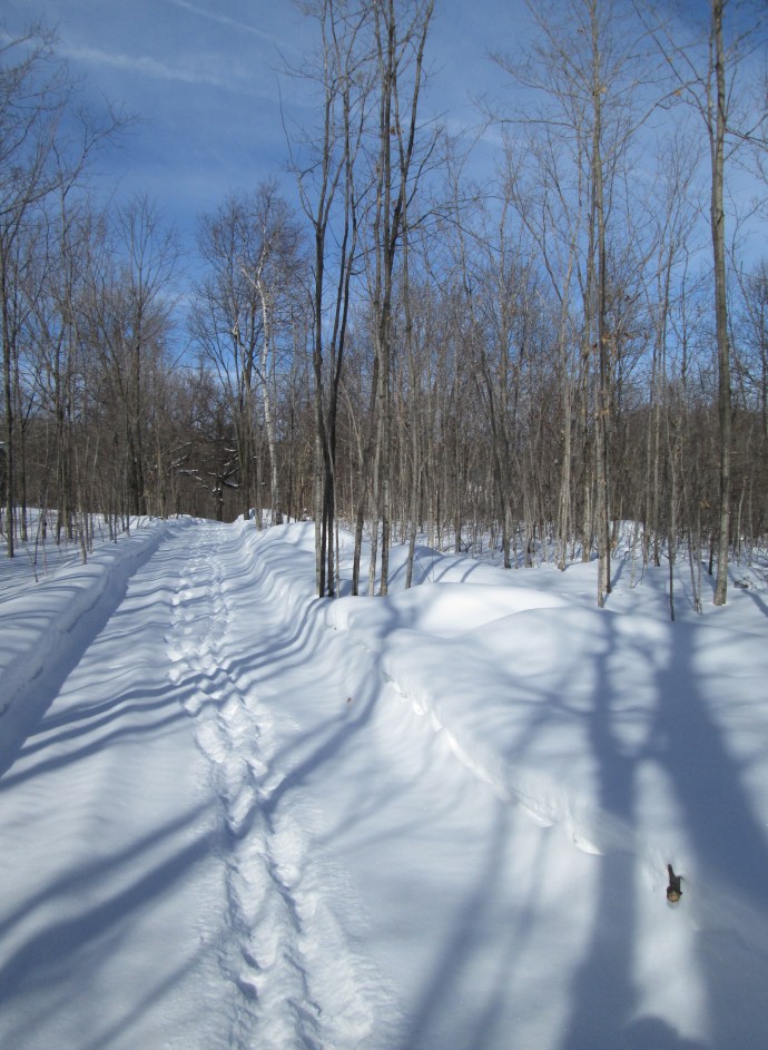 The long midday shadows are gorgeous this time of year