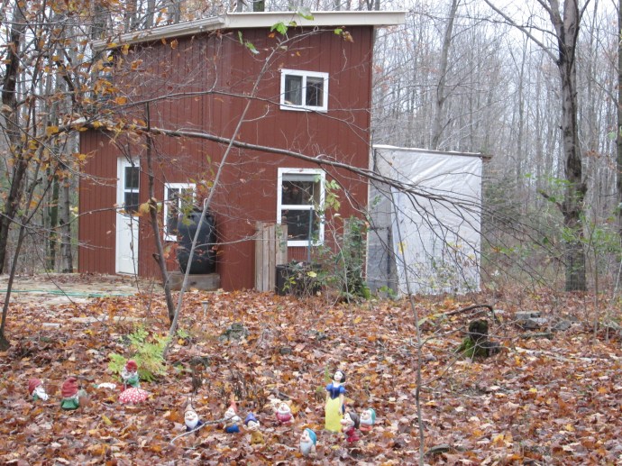 The dog box addition is to go in on the wall between the window and the door to the cloth porch.   This dog box will eventually become enclosed by a stone chimney.  